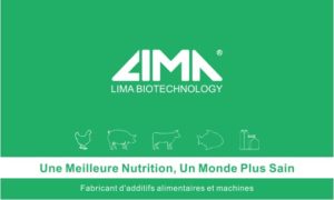 WhatsApp-Image-2025-06-29-at-12.29.26