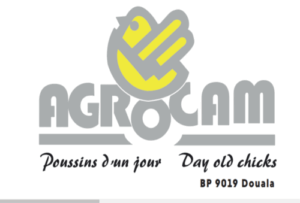 image_2025-02-15_132619547