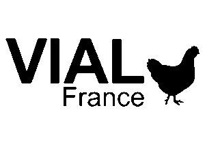 image_2025-02-15_134527825