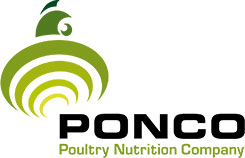 image_2025-05-20_165520567